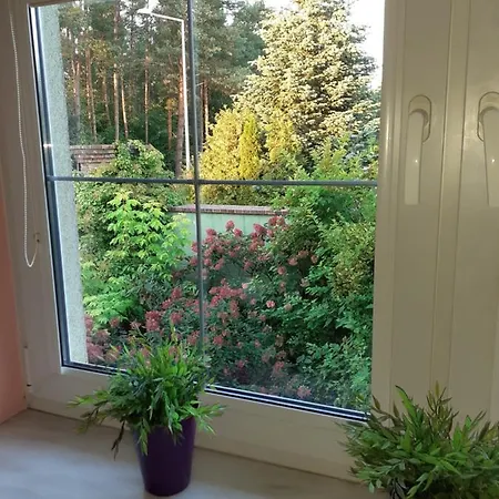 Blisko Natury Apartamento Sulmin