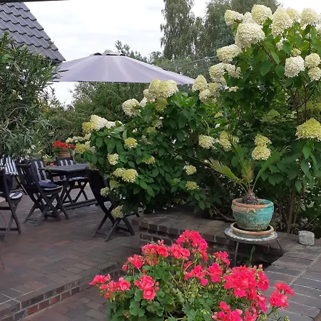 Daire Kaszubiana Direkt In Der