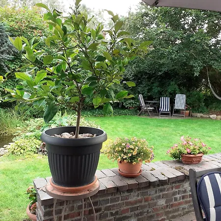 Kaszubiana Direkt In Der *