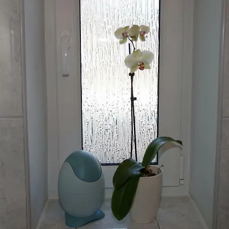 Kaszubiana Direkt In Der Apartment *