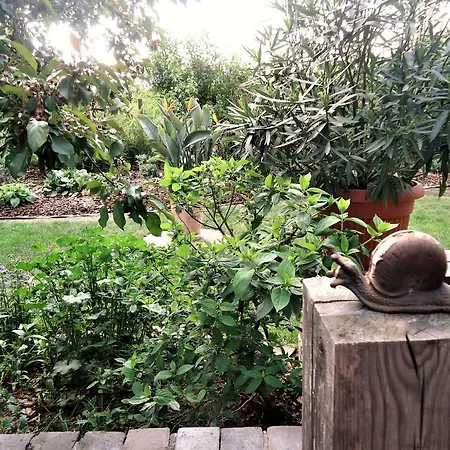 Kaszubiana Direkt In Der *