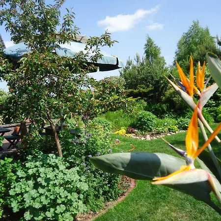 Daire Kaszubiana Direkt In Der Sulmin