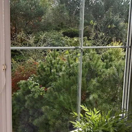 Kaszubiana Direkt In Der