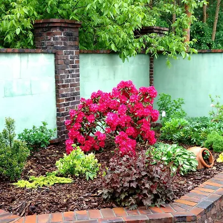 Kaszubiana Direkt In Der *