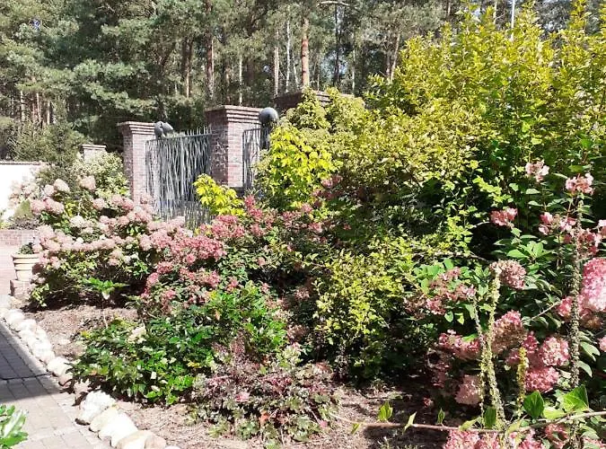 Kaszubiana Direkt In Der * Sulmin