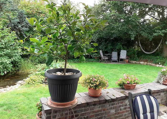 Kaszubiana Direkt In Der *