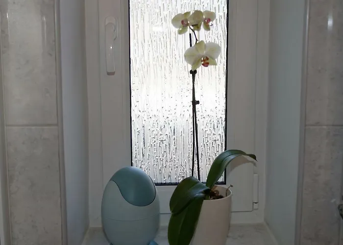 Kaszubiana Direkt In Der Appartamento *