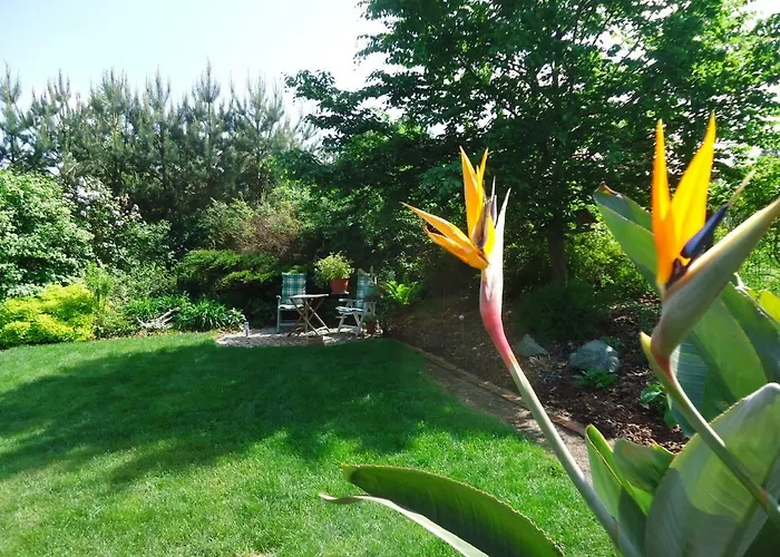 Appartamento Kaszubiana Direkt In Der *