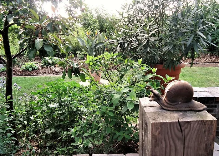 Kaszubiana Direkt In Der *