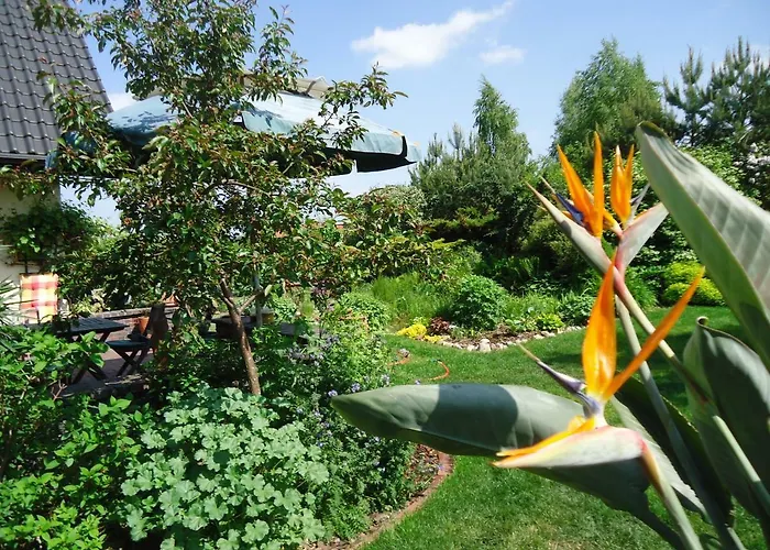 Appartamento Kaszubiana Direkt In Der Sulmin