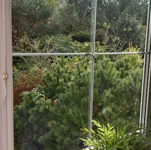 Kaszubiana Direkt In Der